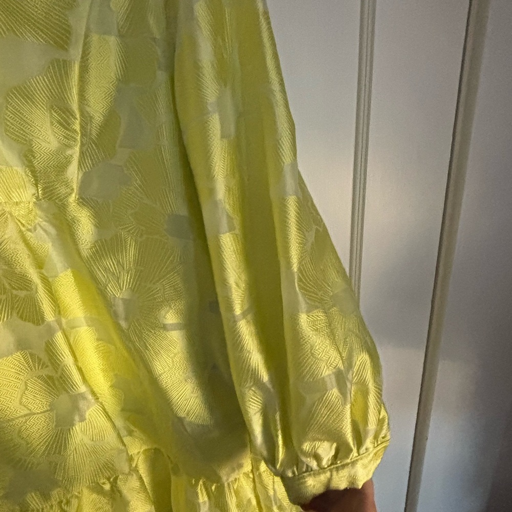 Citron Fil Coupe Palmerston Tuckernuck Jacquard Dress - Picture 4 of 9